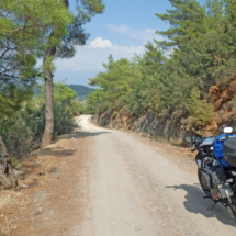 22)-PINARA 22)-PINARA