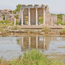 7) MILITOS 7) MILITOS