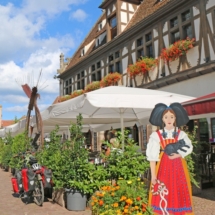 OBERNAI (7) OBERNAI (7)