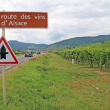ROUTE DES VIN ROUTE DES VIN