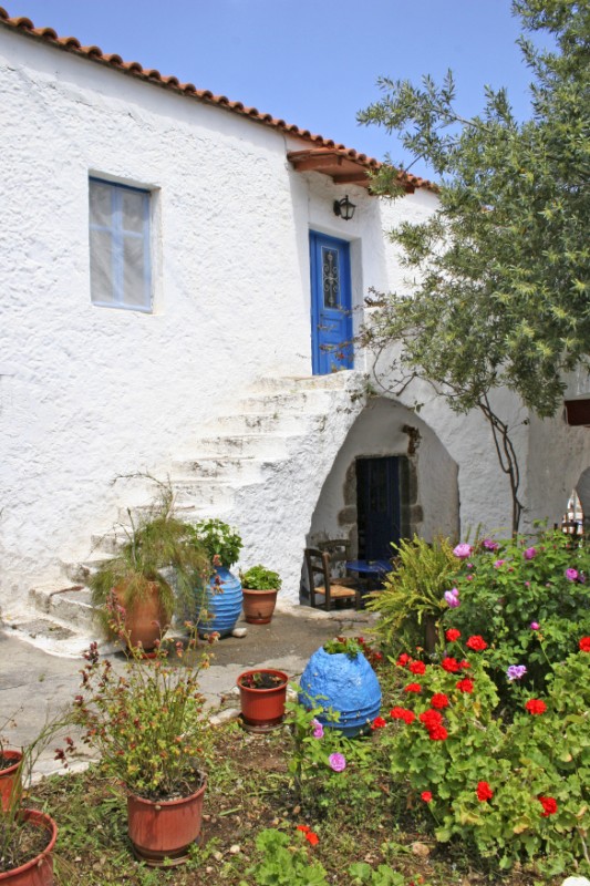 ΚΥΠΑΡΙΣΣΙ (8)