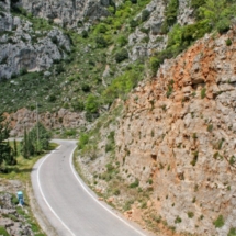 ΚΥΠΑΡΙΣΣΙ (9) ΚΥΠΑΡΙΣΣΙ (9)