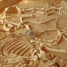 ΤΑΦΙΚΟΣ-ΤΥΜΒΟΣ-ΜΙΚΡΗΣ-ΔΟΞ-( ΤΑΦΙΚΟΣ-ΤΥΜΒΟΣ-ΜΙΚΡΗΣ-ΔΟΞ-(